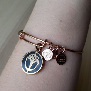 Alex and Ani Unexpected Miracles Bangle